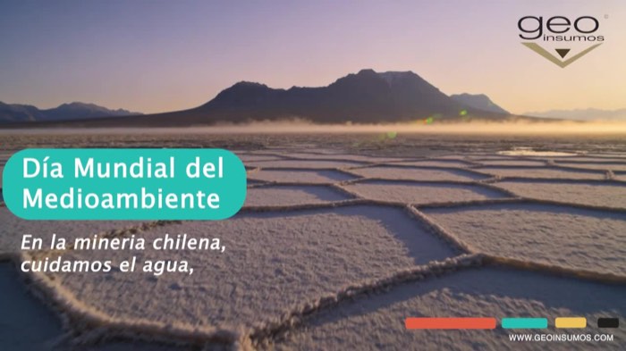 Publicación LinkedIn: Día Mundial del Medio Ambiente